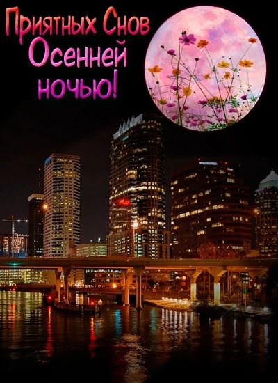 Приятных Снов Осенней ночью