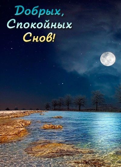 Робрых Спокойных Сноб