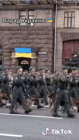 __ шт 7 т
