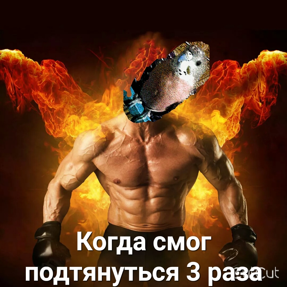 4 ЫУА 4711 Когда смог подтянуться 3 раза