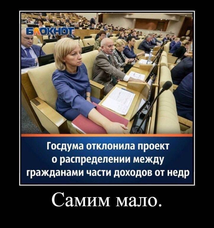 Госдума отклонила проект о распределении между гражданами части доходов от недр СаМИМ мало