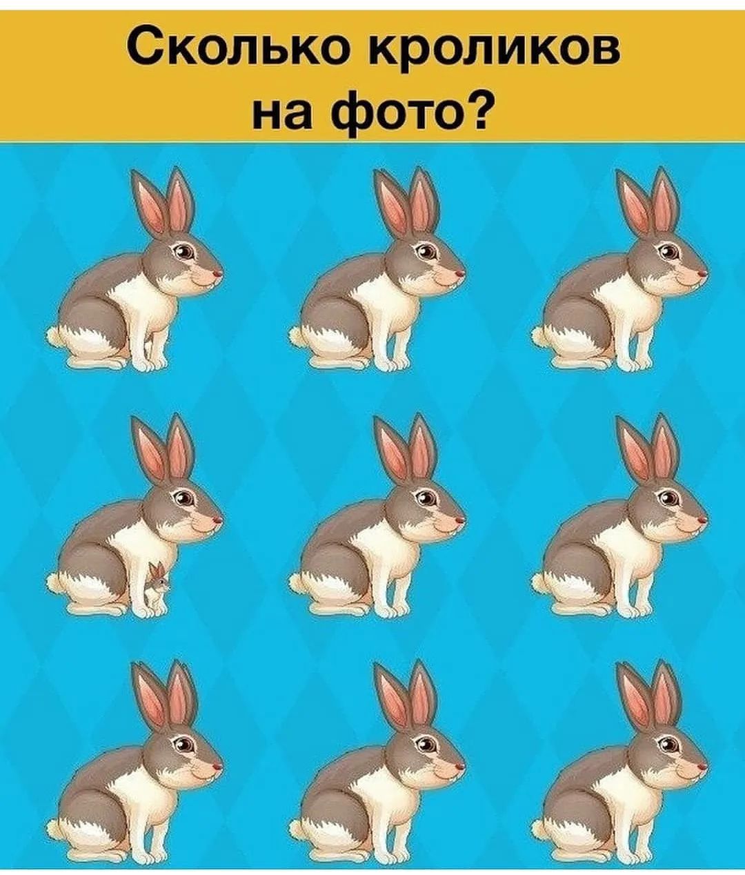 Сколько кроликов
