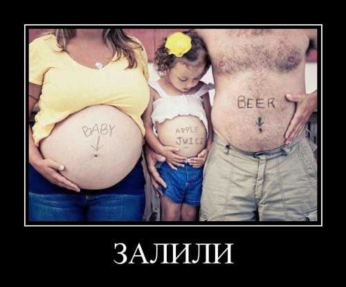 Залили