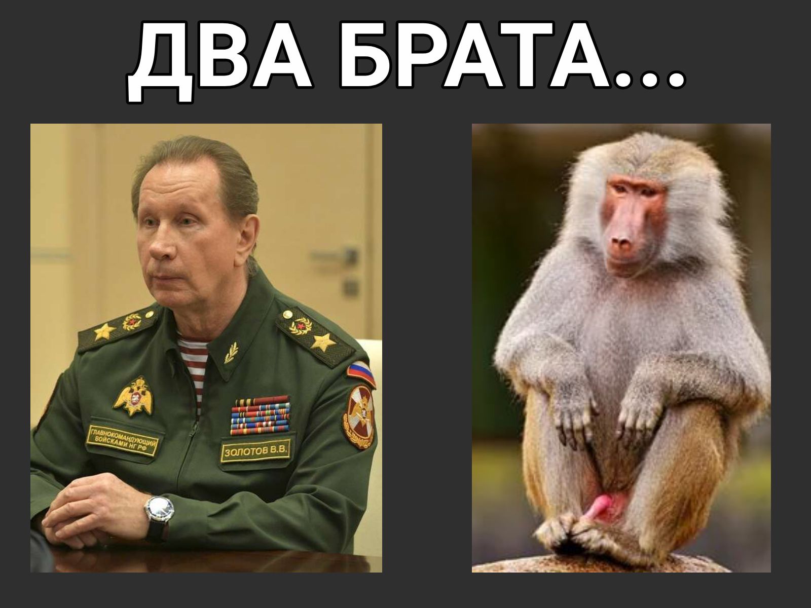ДВА БРАТА _ рунчт _