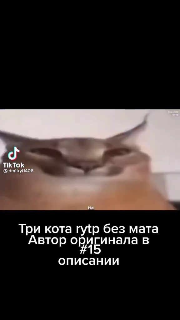 КТОК пишут Три кота гуср без мата Автор оёчёинала в описании