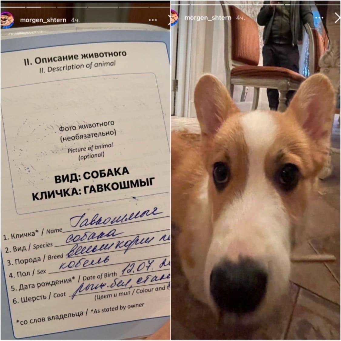 ние животного поп 0 М