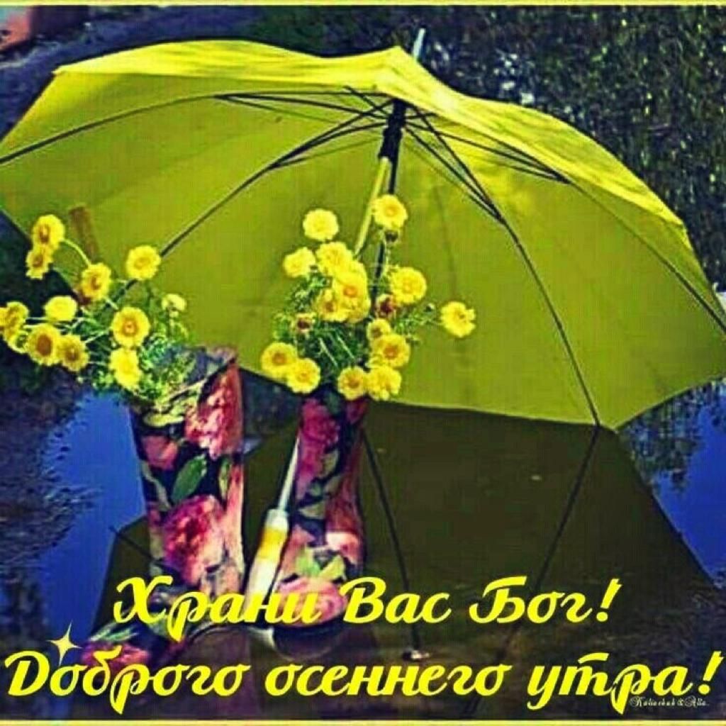31 _ гг М 1 чуши и 3