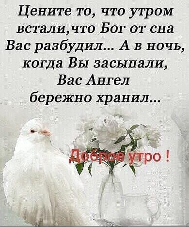 Цените то что утром встали что Бог от сна Вас разбудил А в ночь когда Вы засыпали Вас Ангел бережно хранил щ ъ