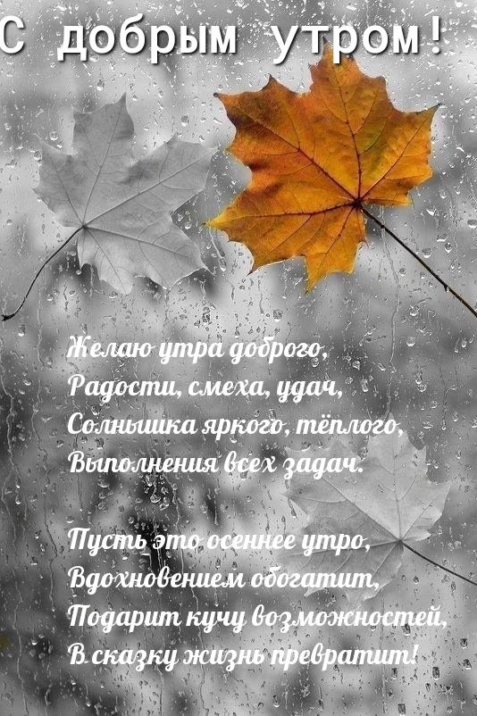 вгу дыбры