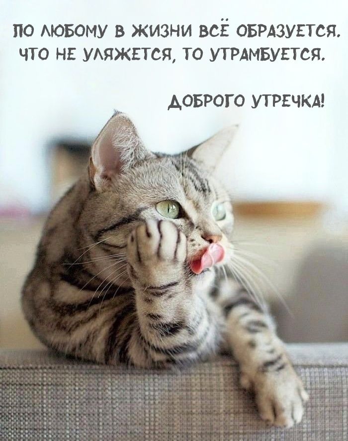 по АЮБОМУ в жизни всЁ овмзупся что на УАПЖЕТСЯ то утмвупся АОБРОГО УТ РЕЧКА