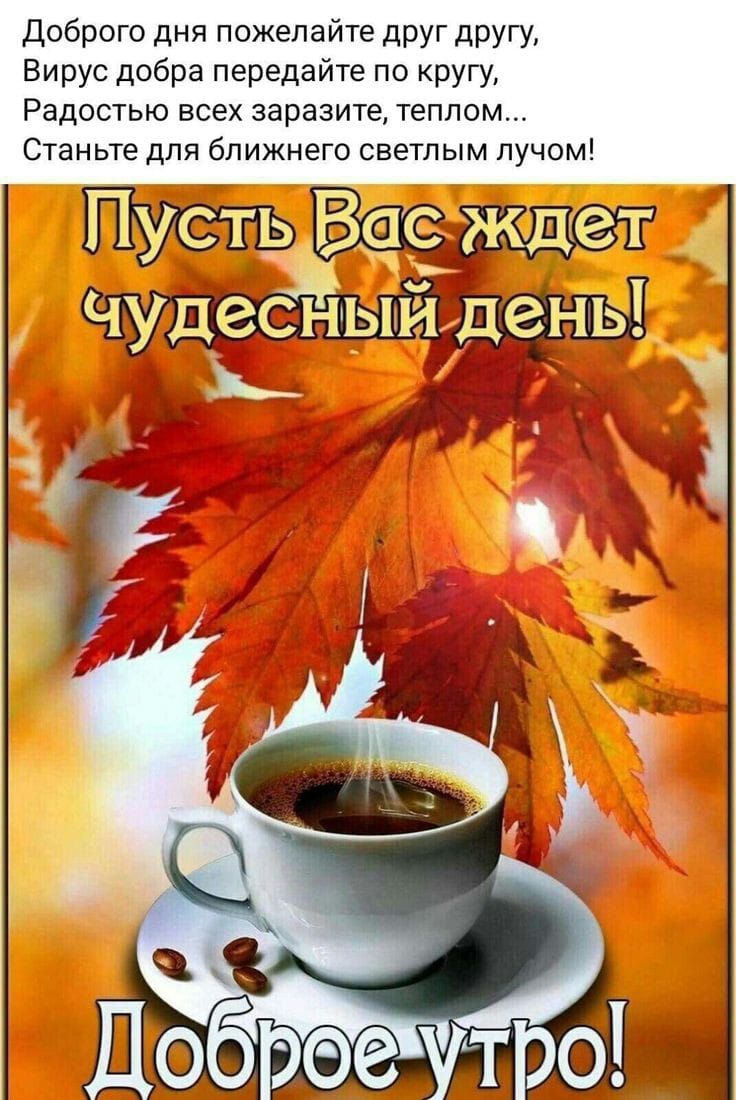 доброго дня пожелайте дРУг другу Вирус добра передайте по кругу Радостью всех заразите теплом Станьте для ближнего светлым пучом