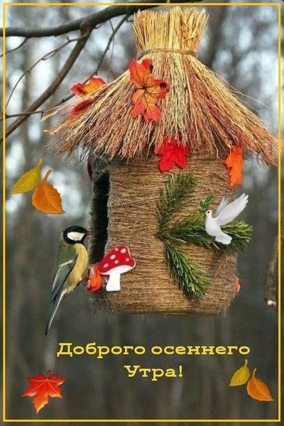 Чтрд