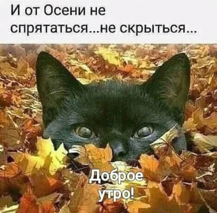 И от Осени не спрятатьсяне скрыться