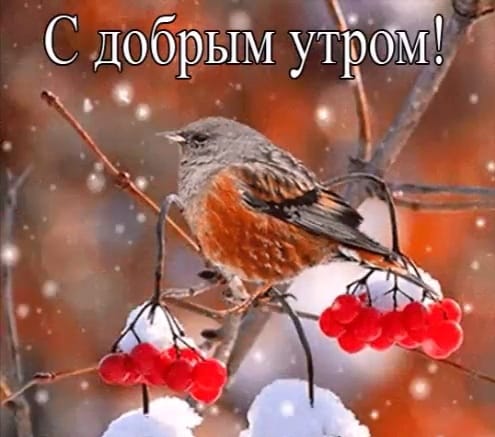 С ДобрЫМ