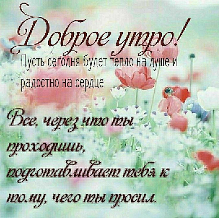 002 ОЁуЗЁЁ Пустьсег иякбулеттеплон рад асердцейіё Все щитды ЧЁ тому чегоищущие ті