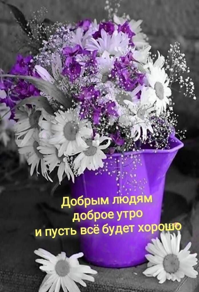 добрым люд доброе УТРО и пусть всё будет