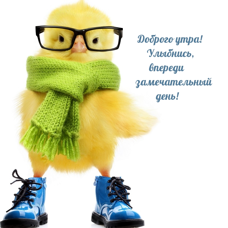 Фодрого утра Улыбнись бпереди