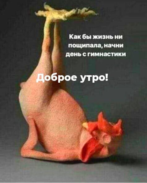 Кск бы ниям ии почки и с гит ист рое утро