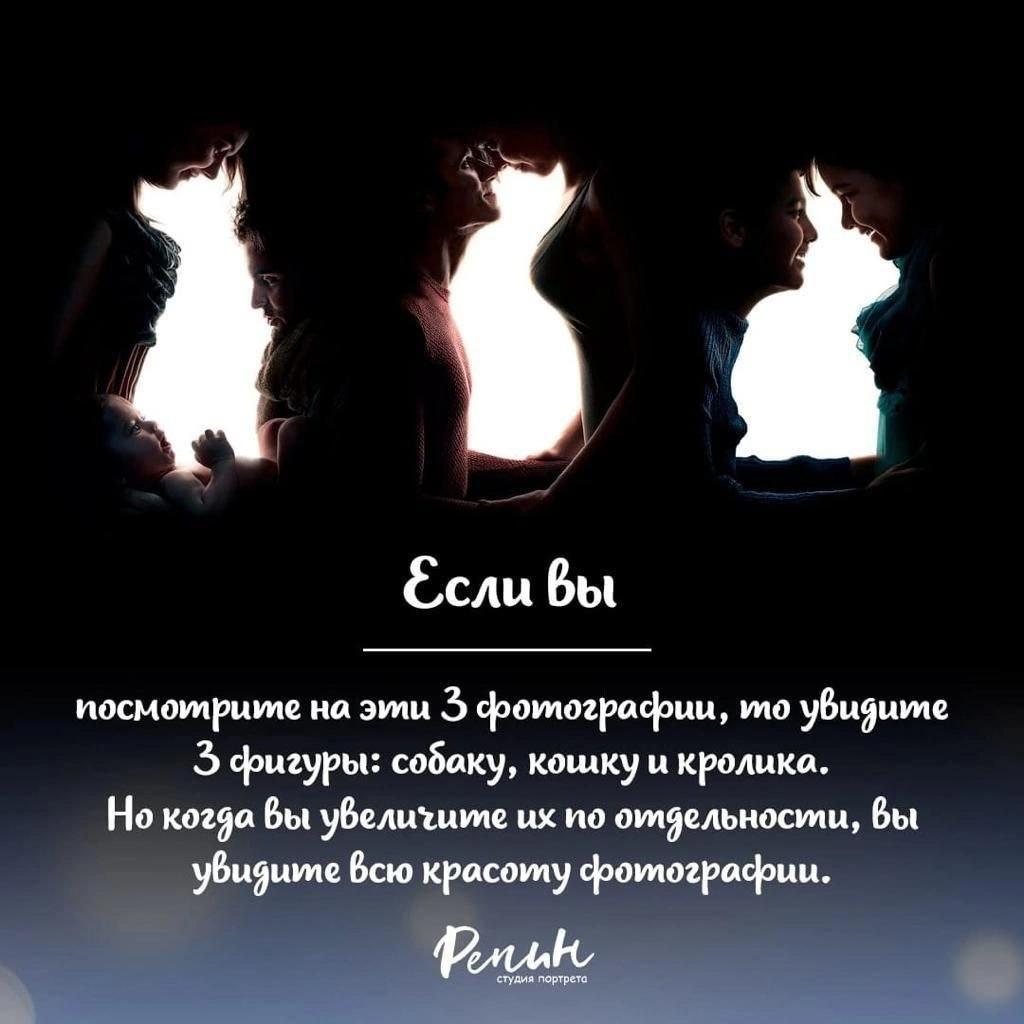 іі Сели Бы иосиотрцта зипц фотмшфцц вы 3 фигуры собаку кошку ц кролика На киян Вы финише их по отдельности Вы ви Всю красоту фамщафиц