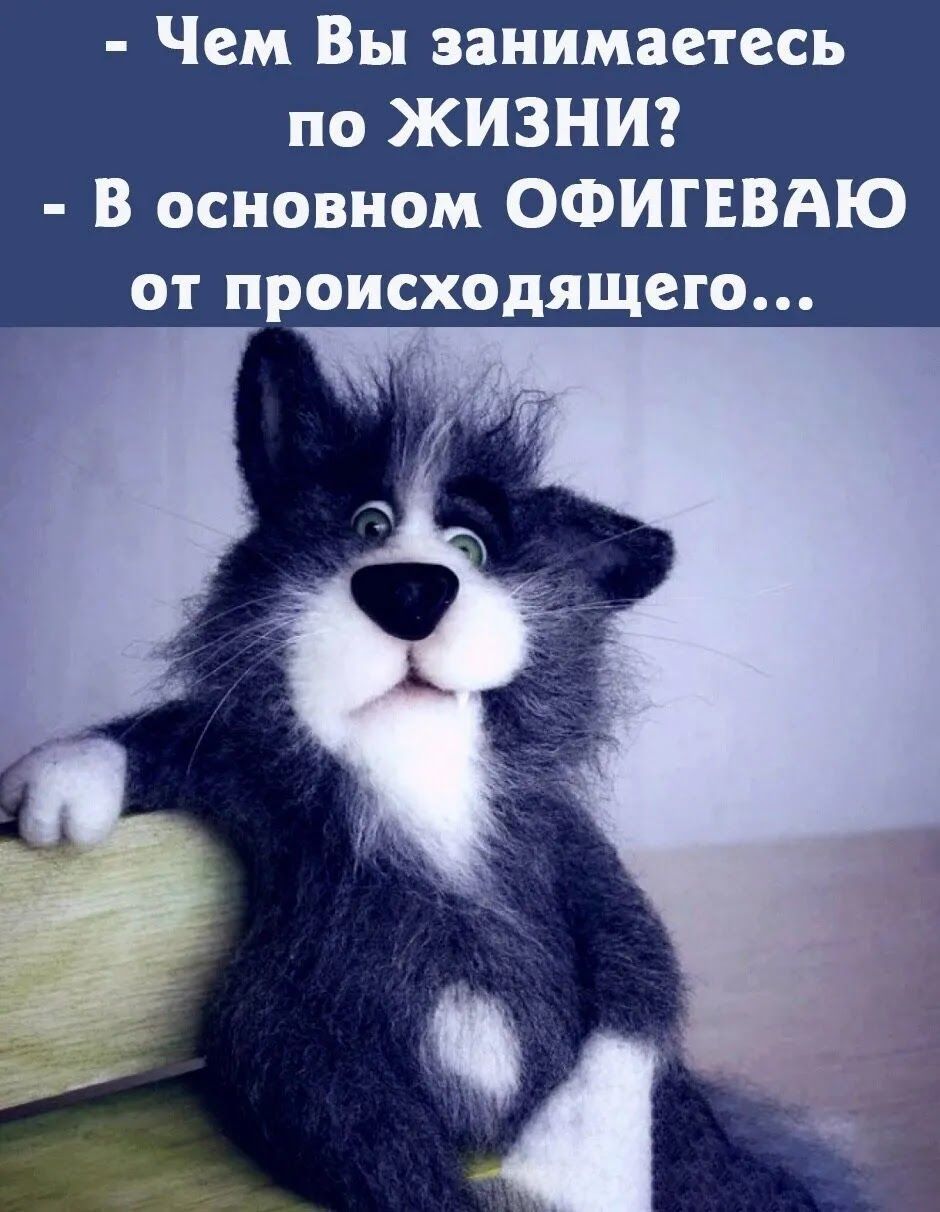 Чем Вы занимаетесь по ЖИЗНИ В основном ОФИГЕВАЮ от происходящего