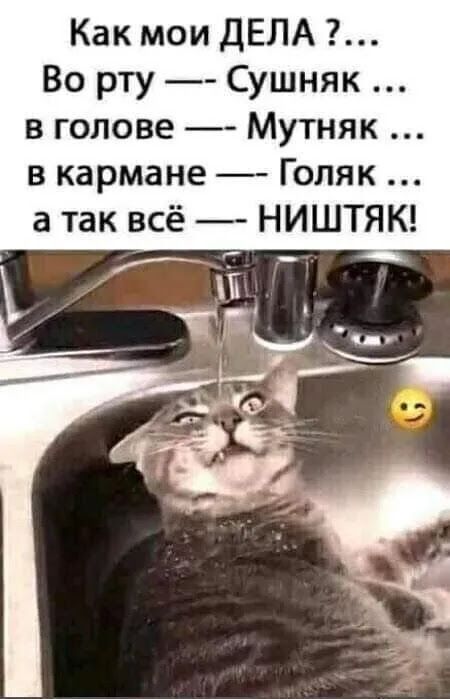 Как мои ДЕЛА Во рту Сушняк в голове Мутняк в кармане Голяк а так всё НИШТЯК
