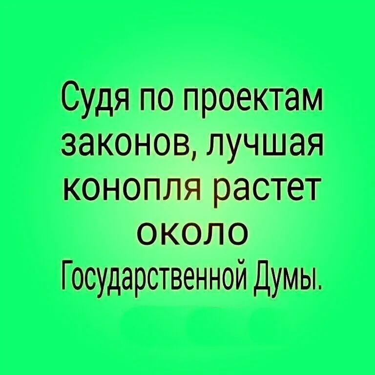 Судя по проектам законов лучшая конопля растет около Государственной Думы