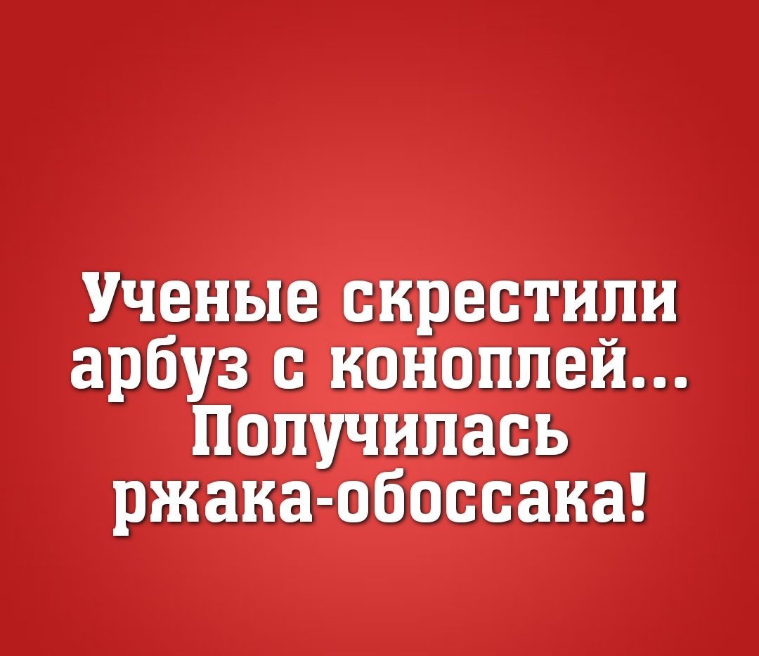 Ученые скрестили арбуз коноплей Получилась ржака обоссаиа