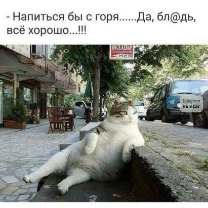 _ Напиться бы с горяДа бпдь всё хорошо