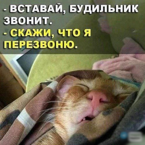 встдвдй Будильник вводит скджи что я пввЕЗБОню