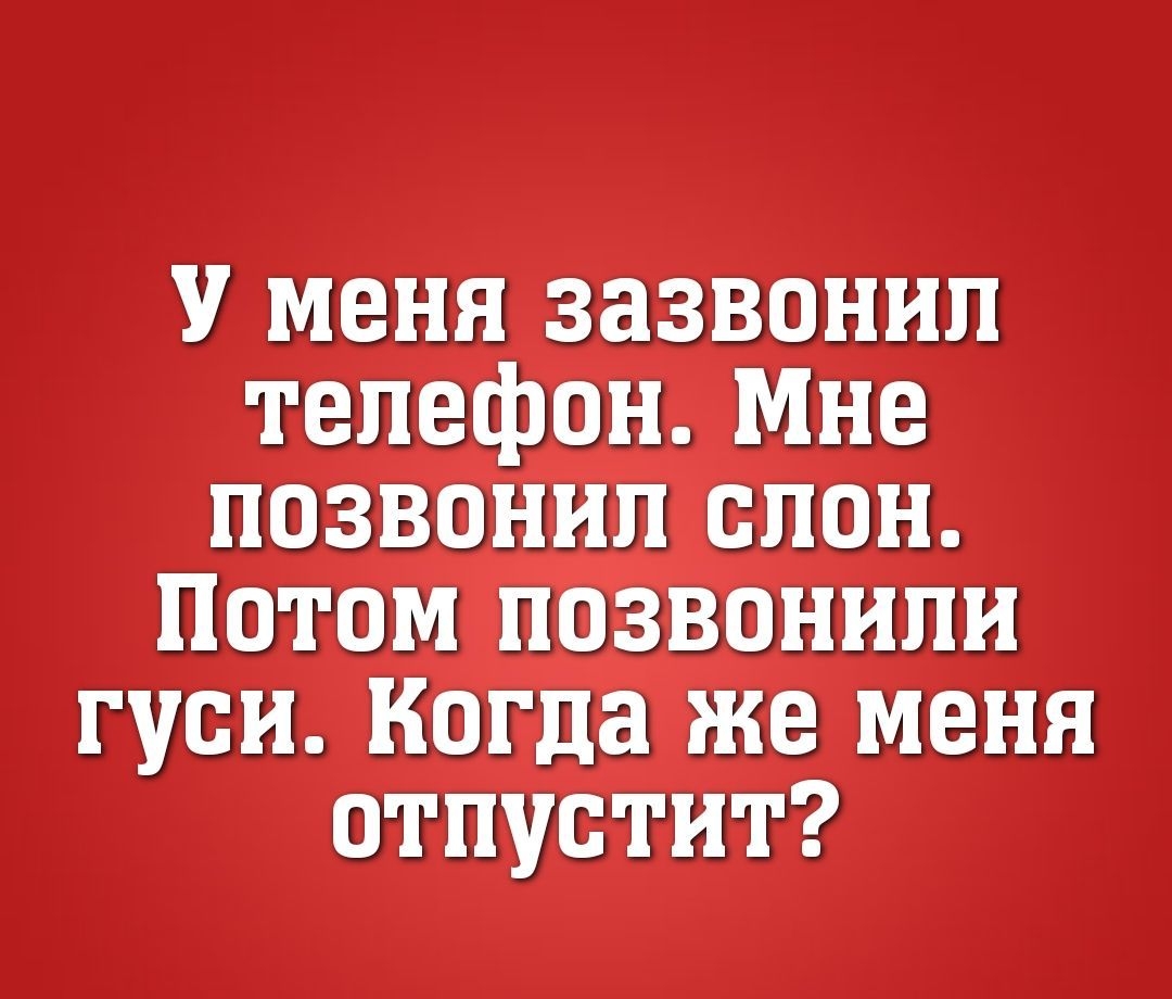 У МВНЯЗЗЗВОНИП отпудшитд