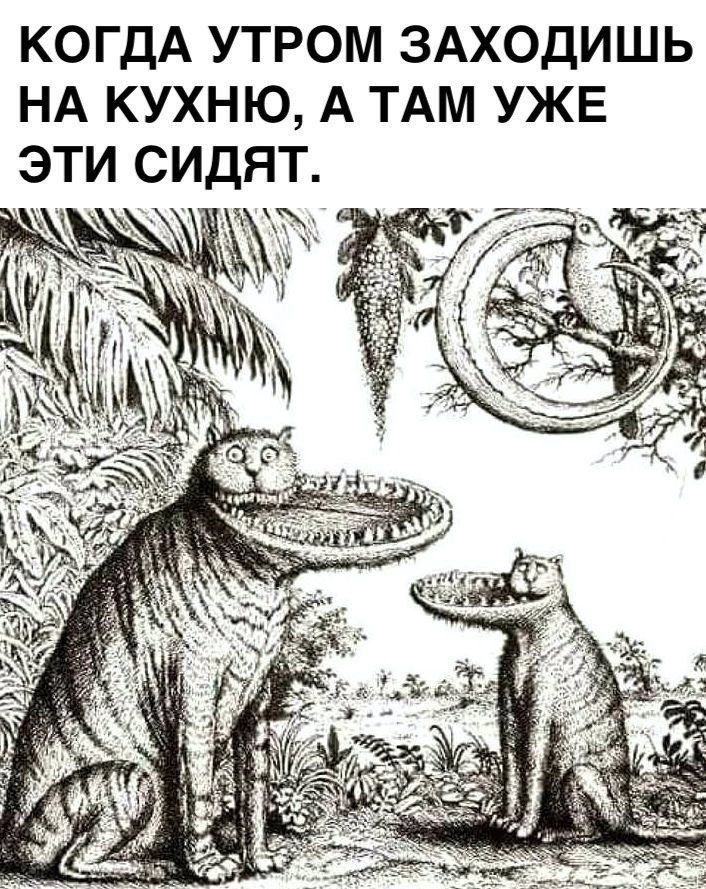 КОГДА УТРОМ ЗАХОДИШЬ НА КУХНЮ А ТАМ УЖЕ ЭТИ СИДЯТ і