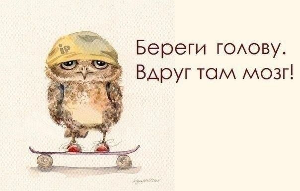 Береги ГОАОВУ Вдруг том мозг