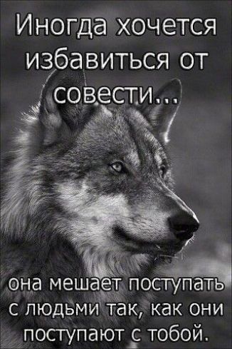 Иногда хочется избавиться от псовести Ё_ она мешаётпоступать с людьми так как они поступают тобой