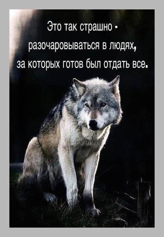 Это так страшно разочаровываться в людях за которых готов был отдать все