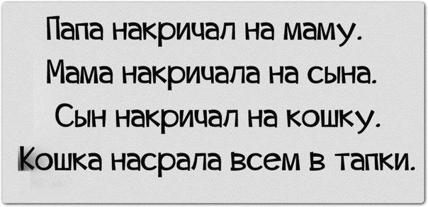 Папа накрицап на маму Мама накричапа на сына Сын накрицап на кошку Кошка насрапа всем в тапки
