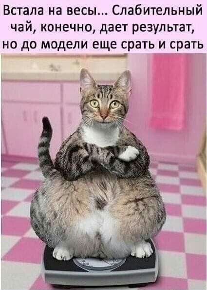 Встала на весы Слабительный чай конечно дает результат но до модели еще срать и срать