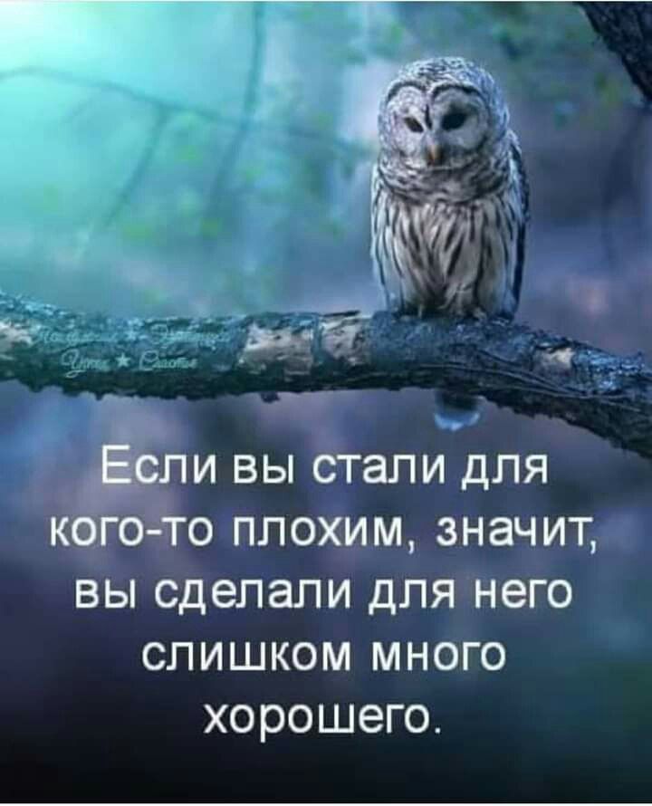 и вы али для о плохим значит вы сделали дпянего слишком много хорошего
