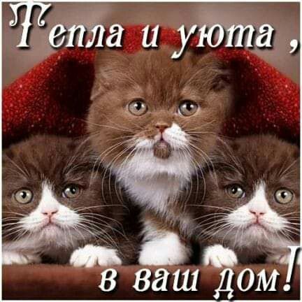 Ъй  уютаь ё«  ъшом.