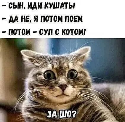 сын иди кушдты АА не я потом пони потом суп с котом