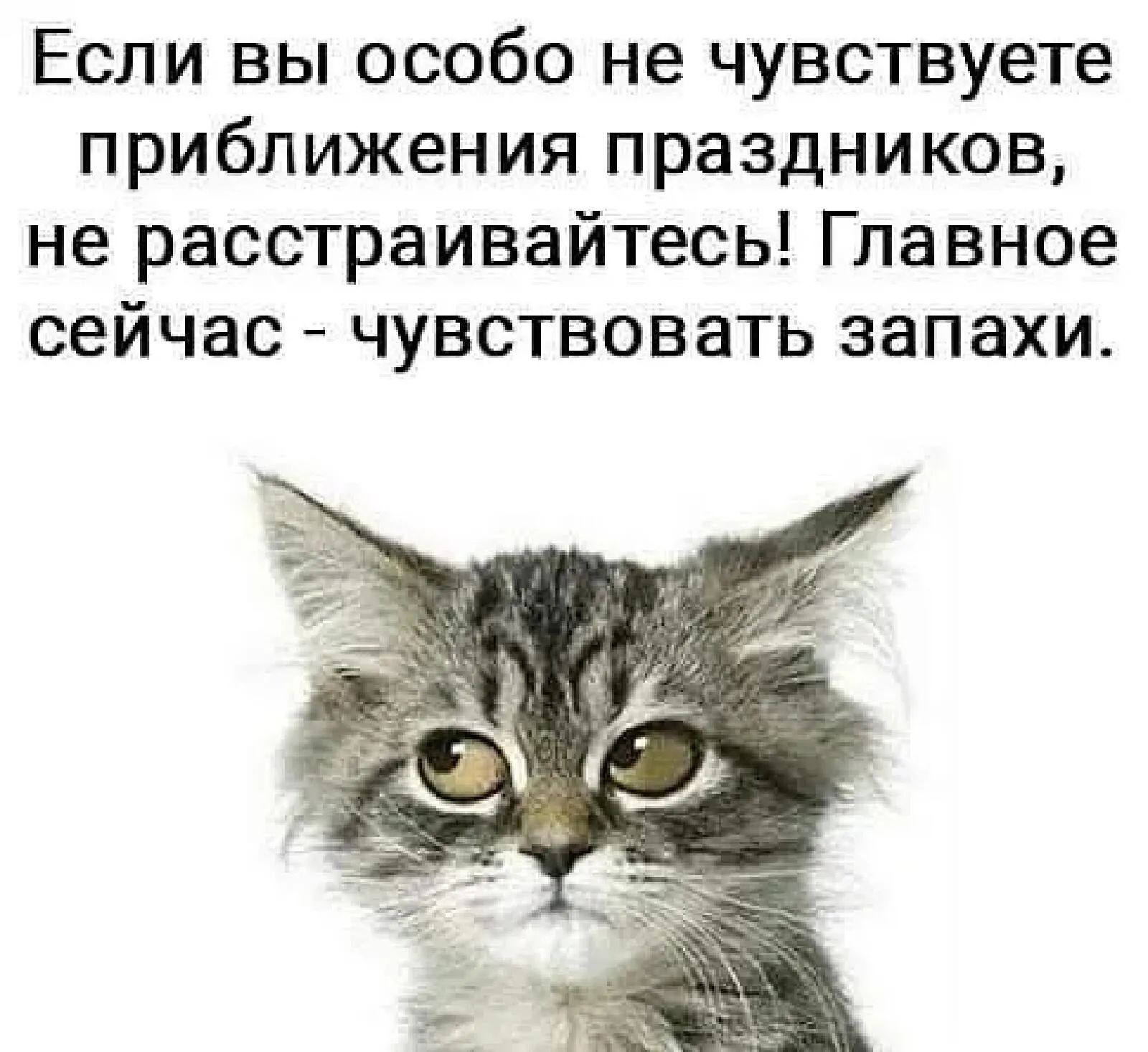 Если вы особо не чувствуете приближения праздников не расстраивайтесь Главное сейчас чувствовать запахи