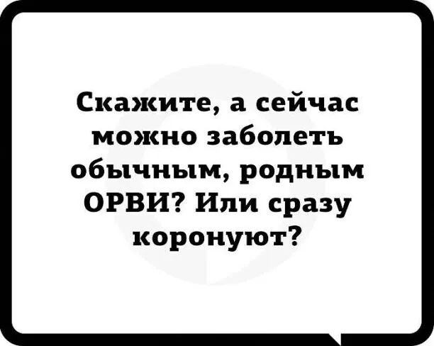 Скажите а сейчас можно заболеть обычным родным ОРВИ Или сразу коронуют