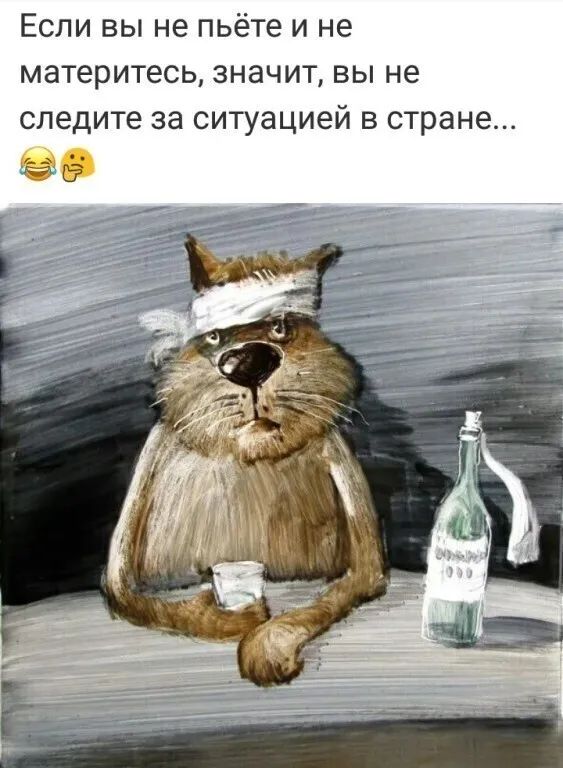 Если вы не пьёте и не материтесь значит вы не следите за ситуацией в стране