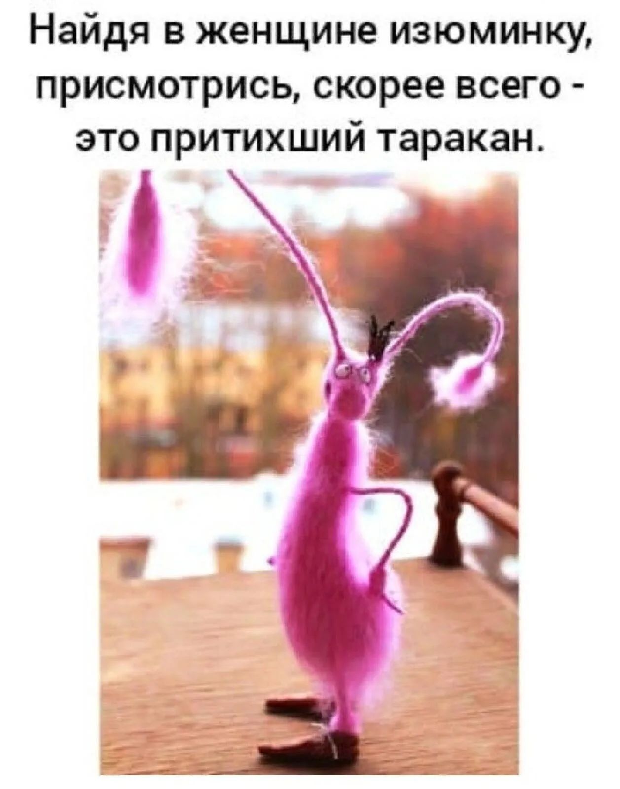 Найдя в женщине изюминку присмотрись скорее всего это притихший таракан