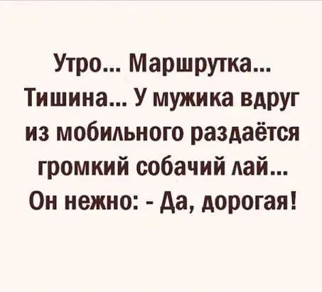 Утро Маршрутка Тишина У мужика ВАРУГ из мобильного раздаётся громкий собачий дай Он нежно да дорогая
