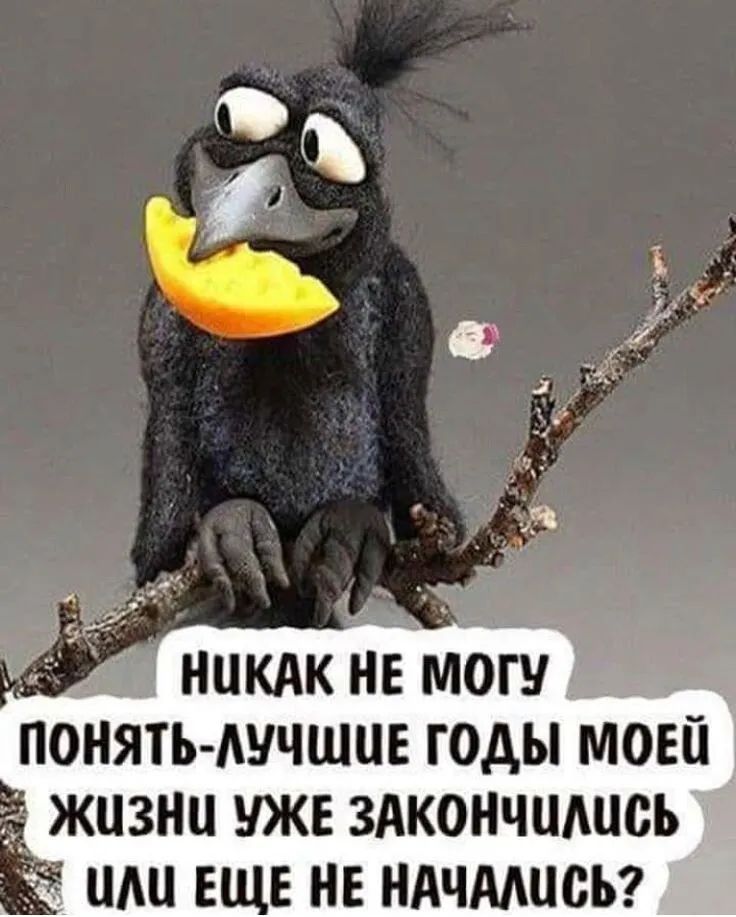 ПОНЯТЬ АУЧШЦЕ годы ш __ жизни уже здкончшшсь им еще не ндчмцсьг