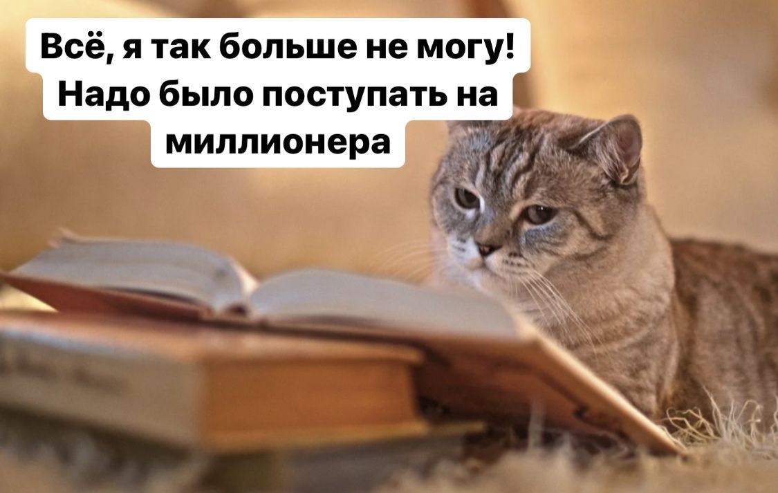 Всё я так больше не могу Надо было поступать на