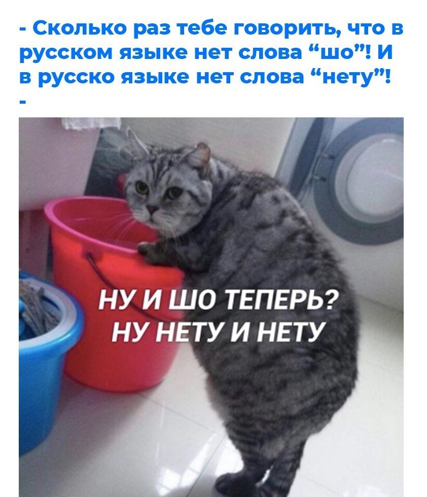 Сколько раз тебе говорить что в русском языке нет слова шо И в русско языке нет слова нету НУ И ШО ТЕПЕРЬ НУ НЕТУ И НЕТУ