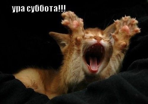 ШШ суббота
