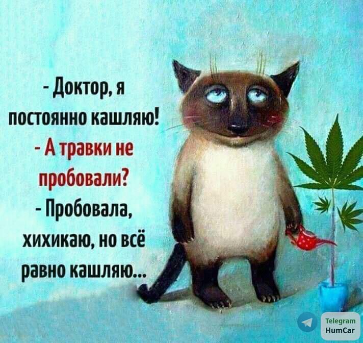 Доктор я постоянно кашляю А травки не пробовали Пробовала хихикаю но всё равно кашляю