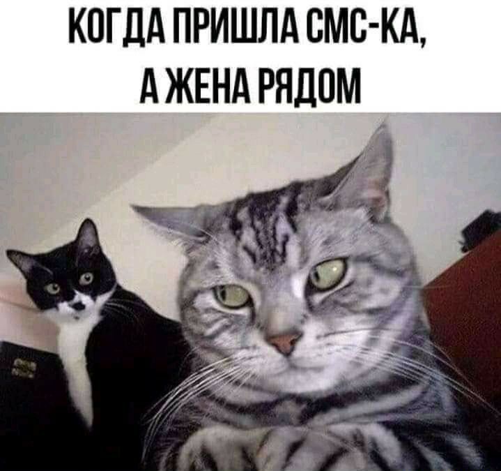 КОГДА ПРИШЛА СМС КА д ЖЕНА РЯДОМ